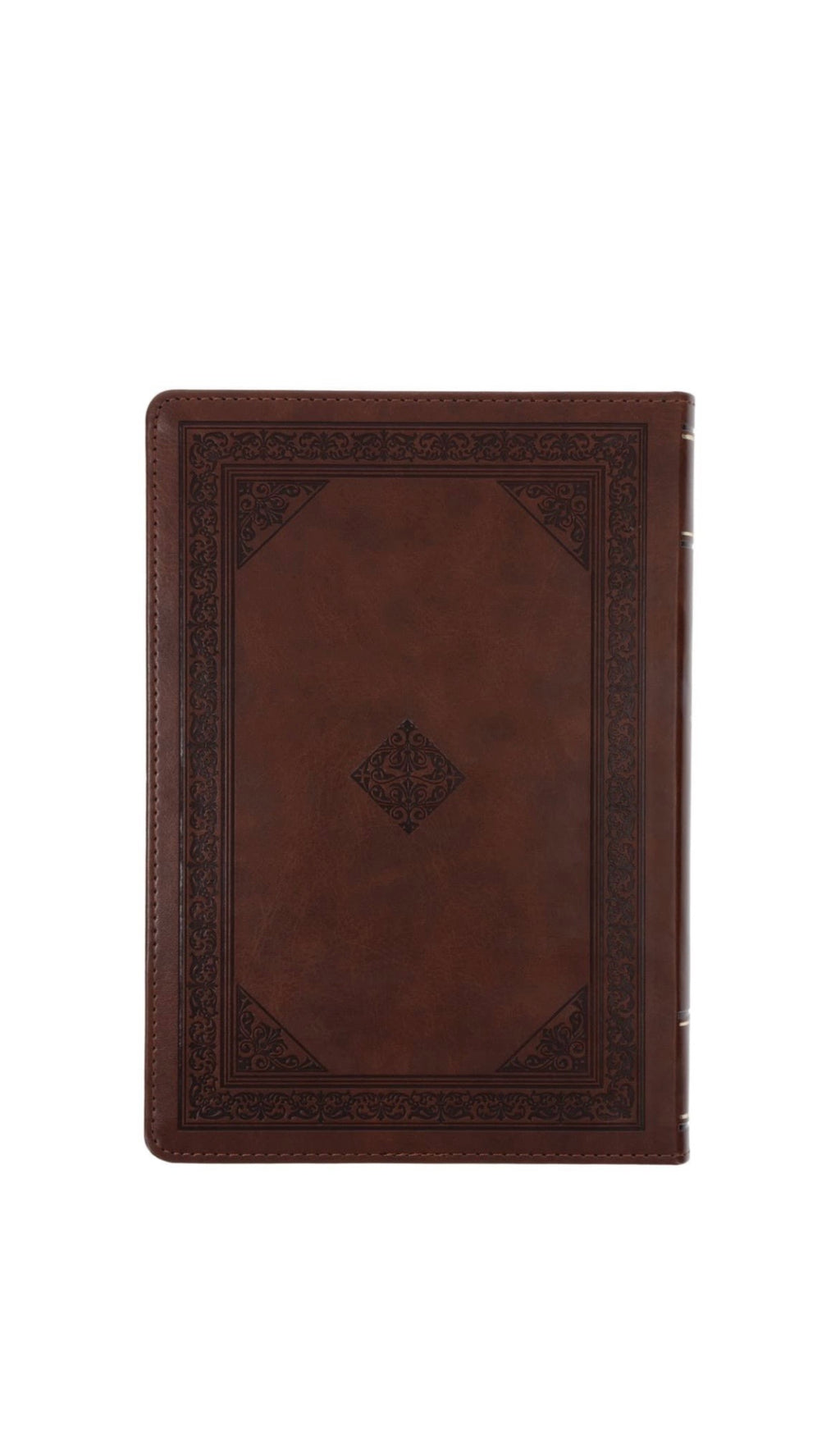 NLT Holy Bible Everyday Devotional Bible for Men New Living