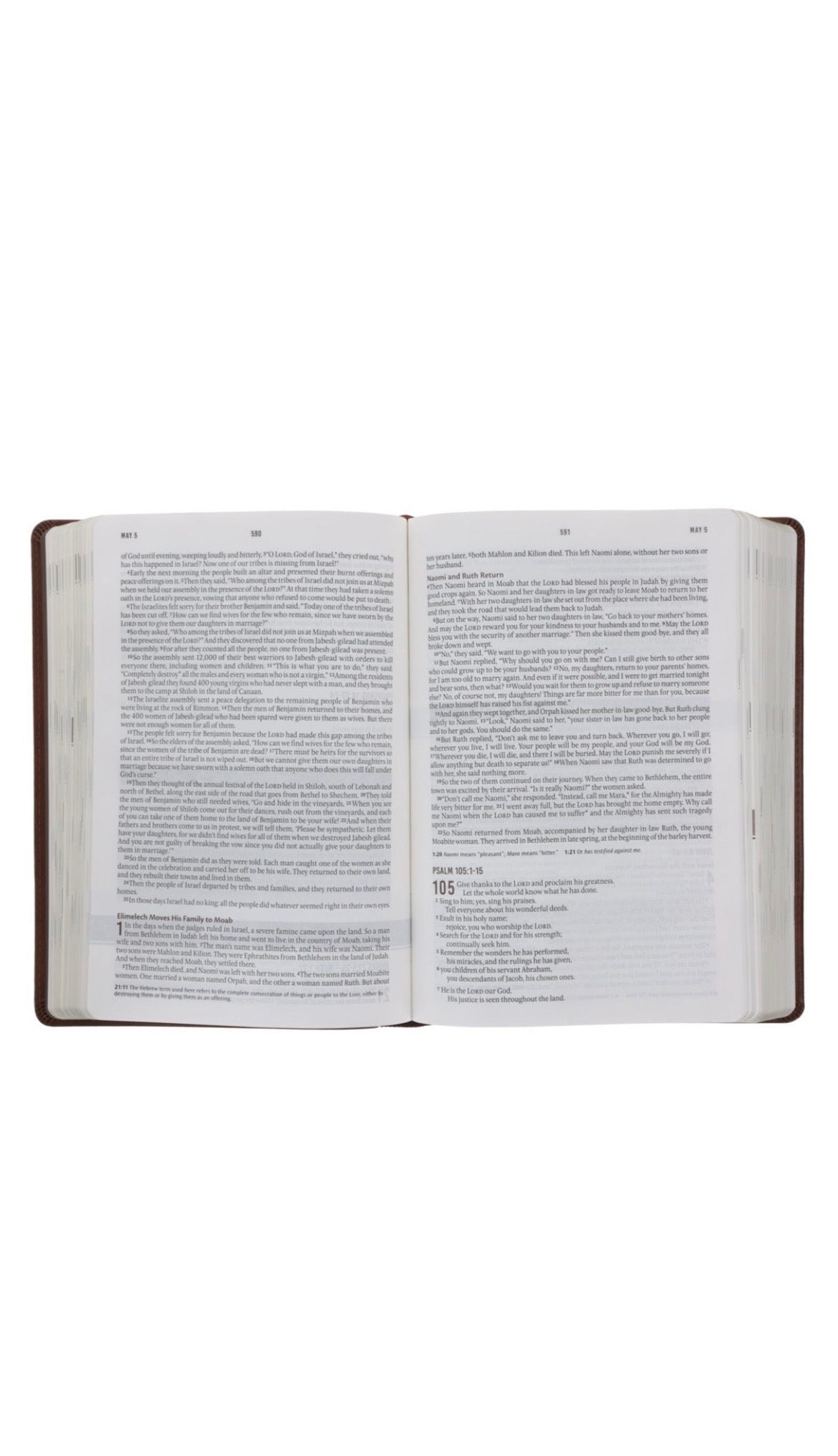 NLT Holy Bible Everyday Devotional Bible for Men New Living