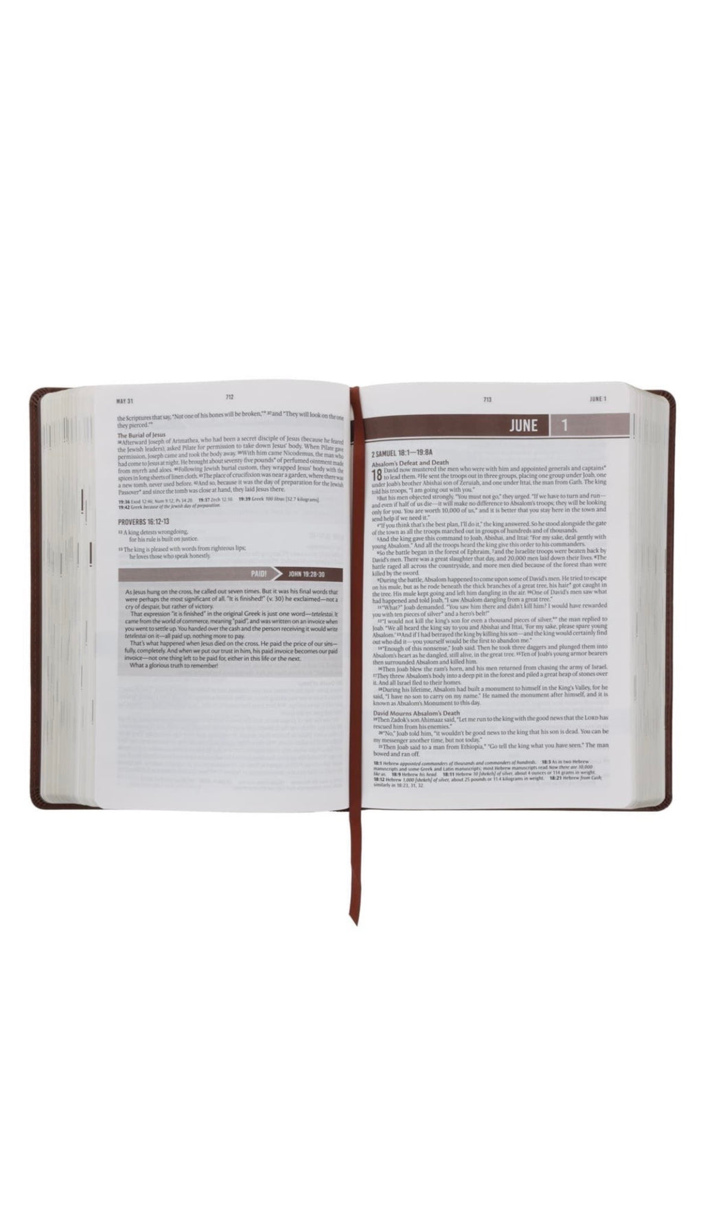 NLT Holy Bible Everyday Devotional Bible for Men New Living