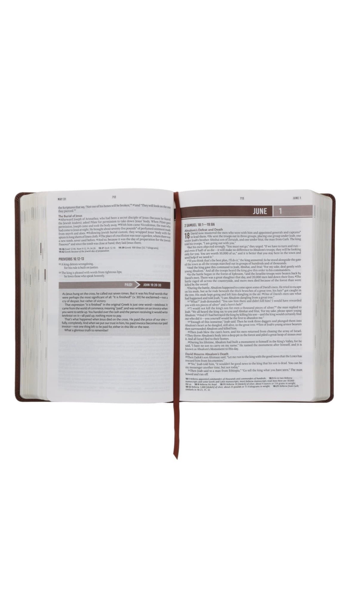 NLT Holy Bible Everyday Devotional Bible for Men New Living