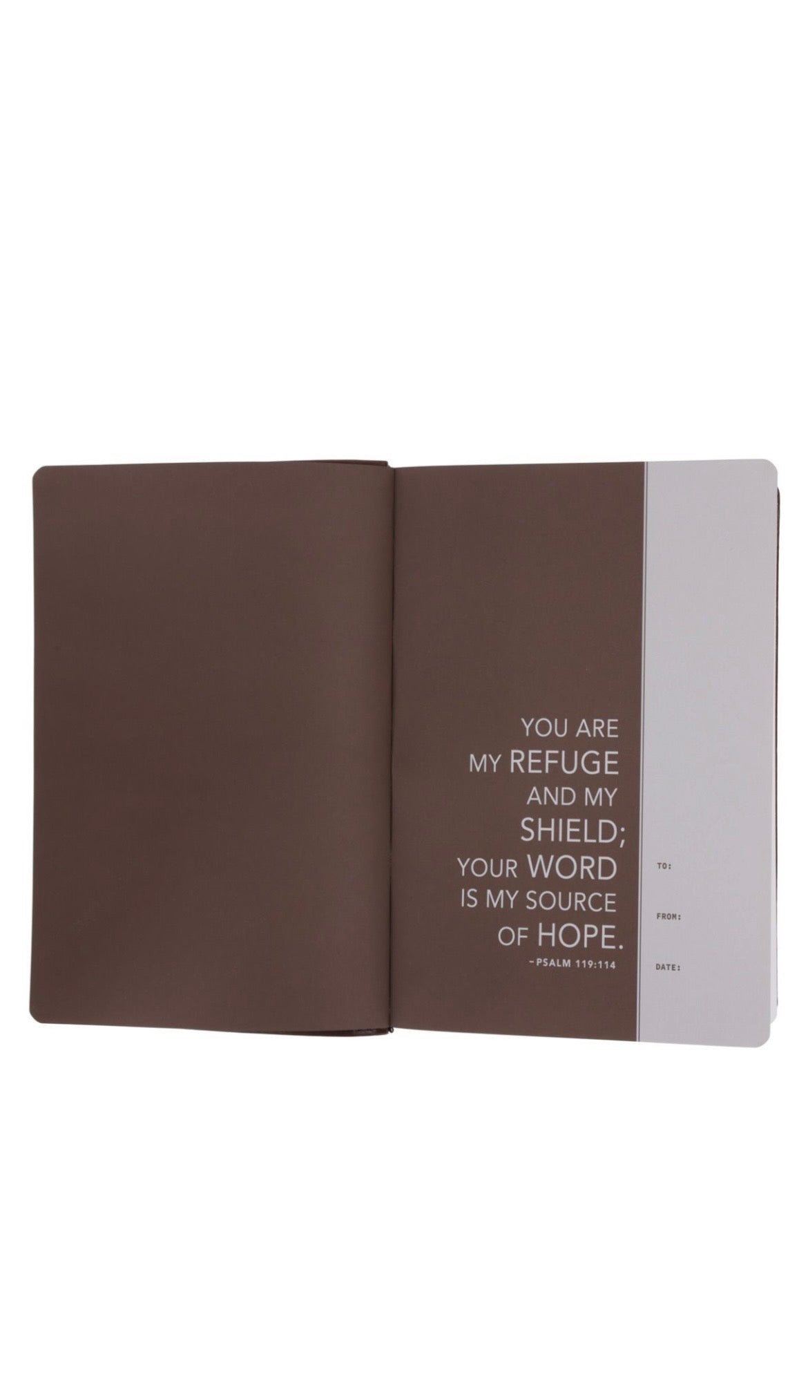 NLT Holy Bible Everyday Devotional Bible for Men New Living