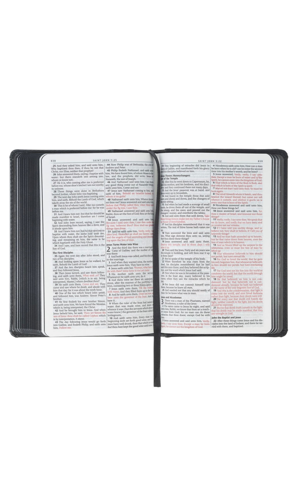 KJV Compact Bible, Faux Leather, Grey Lion (Small Bible)