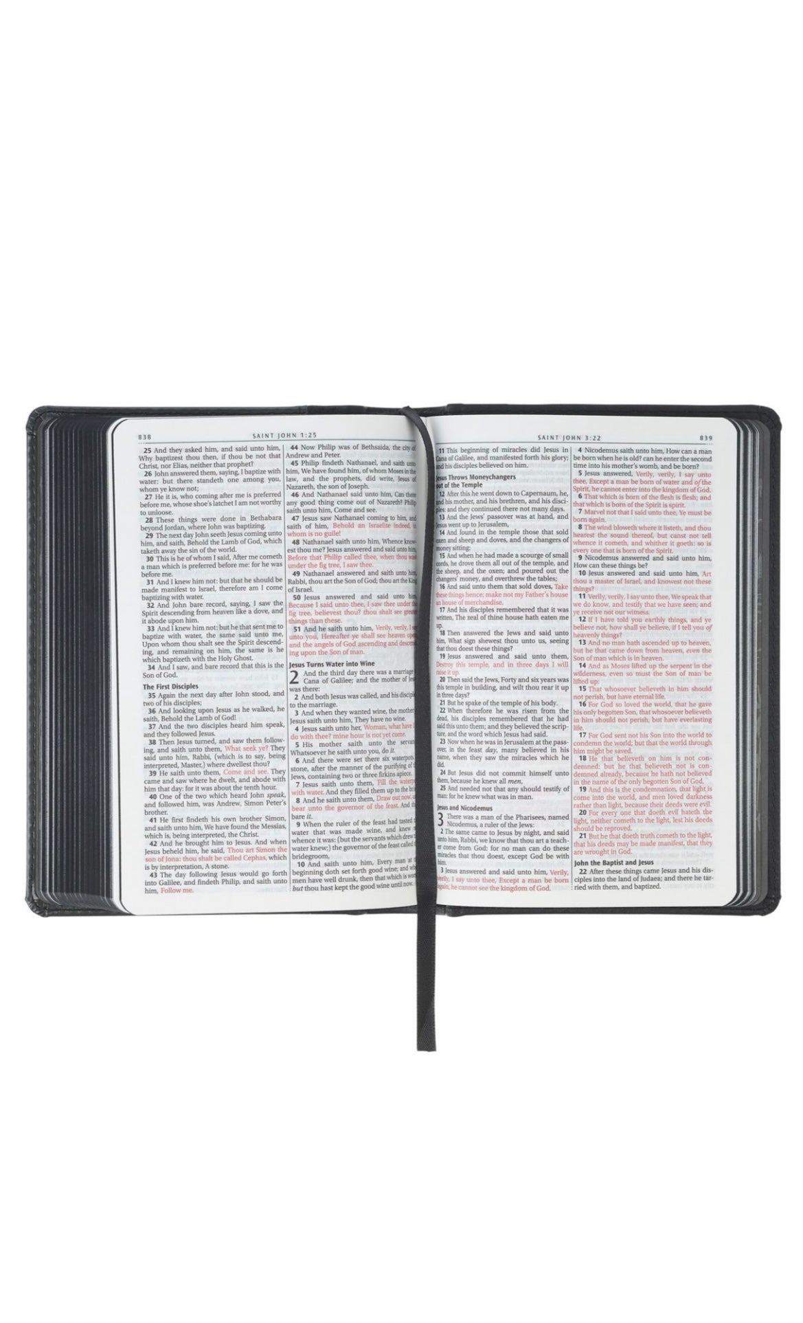 KJV Compact Bible, Faux Leather, Grey Lion (Small Bible)